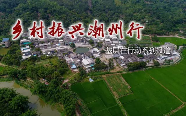 牧馬鎮(zhèn)蓮花村最新規(guī)劃，鄉(xiāng)村振興的藍(lán)圖展望