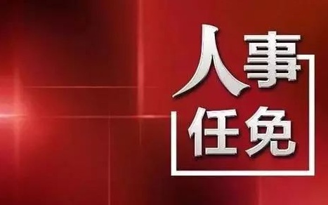 中央最新人事任免，蔡某某的新職務與未來展望