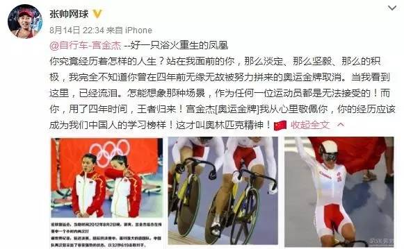 新澳門火鳳凰，力量釋義、解釋與落實資料大全