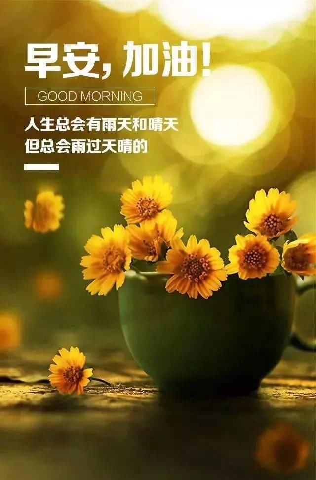 最新早安勵(lì)志語錄帶圖，開啟充滿活力的每一天